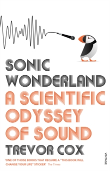 Image for Sonic Wonderland