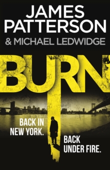 Image for Burn : (Michael Bennett 7)