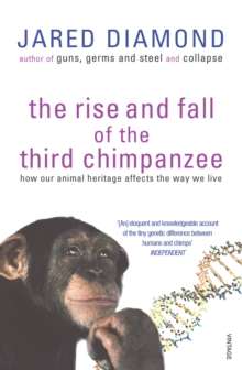 Image for The Rise And Fall Of The Third Chimpanzee