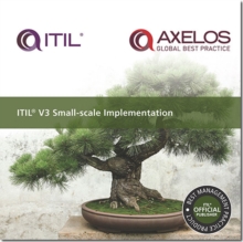 Image for ITIL V3 Small-scale Implementation