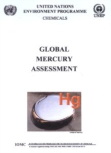 Image for Global Mecury Assessment