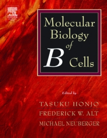 Image for Molecular Biology of B Cells