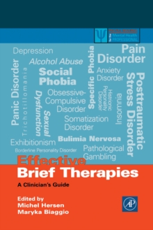 Image for Effective Brief Therapies