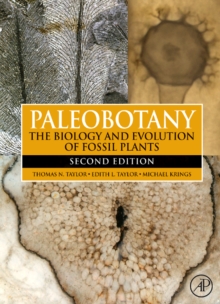 Image for Paleobotany  : the biology and evolution of fossil plants