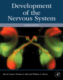 Development of the Nervous System