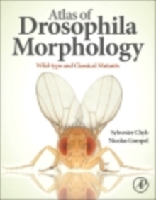 Image for Atlas of Drosophila morphology: wild-type and classical mutants