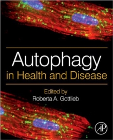Image for Autophagy in Health and Disease