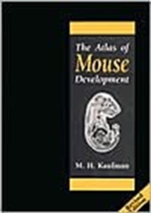 Image for The Atlas of Mouse Development