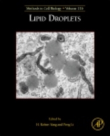 Image for Lipid droplets