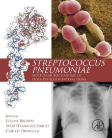 Image for Streptococcus Pneumoniae