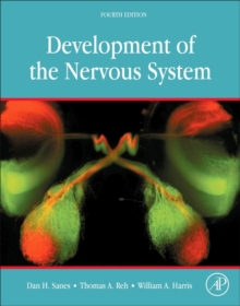 Image for Development of the nervous system
