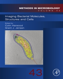 Image for Imaging bacterial molecules, structures and cells