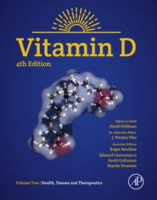 Image for Vitamin D.: (Health, disease and therapeutics.)