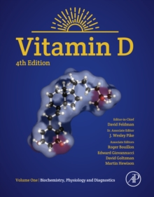 Image for Vitamin D.: (Biochemistry, physiology and diagnosis)