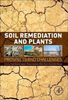 Image for Soil Remediation and Plants