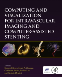 Image for Computing and visualization for intravascular imaging and computer-assisted stenting
