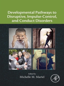 Image for Developmental pathways to disruptive, impulse-control, and conduct disorders