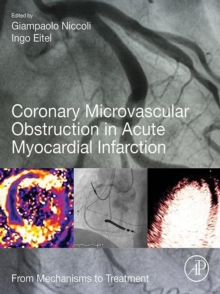 Image for Coronary microvascular obstruction in acute myocardial infarction: from mechanisms to treatment