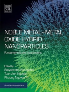 Image for Noble metal-metal oxide hybrid nanoparticles: fundamentals and applications