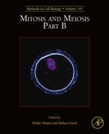 Image for Mitosis and Meiosis.: (Part B)