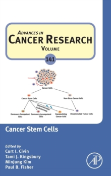 Image for Cancer Stem Cells