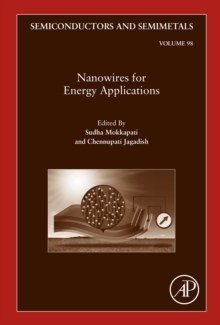 Image for Nanowires for energy applications