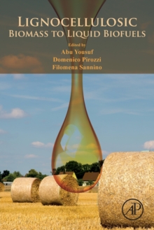 Lignocellulosic Biomass to Liquid Biofuels