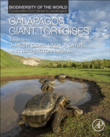 Image for Galapagos Giant Tortoises