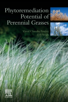 Image for Phytoremediation Potential of Perennial Grasses