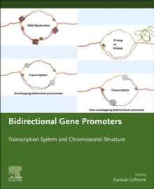 Bidirectional Gene Promoters: Transcription system and chromosomal structure