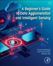 Image for A beginner's guide to data agglomeration and intelligent sensing