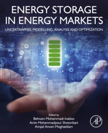 Image for Energy Storage in Energy Markets
