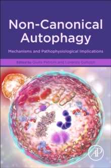 Image for Non-Canonical Autophagy