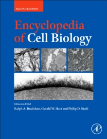 Image for Encyclopedia of Cell Biology