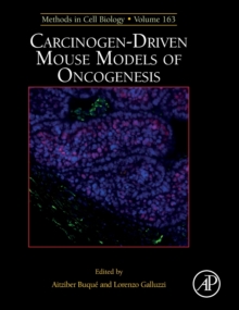 Image for Carcinogen-driven mouse models of oncogenesis