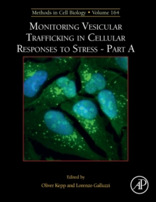 Image for Monitoring Vesicular Trafficking in Cellular Responses to Stress