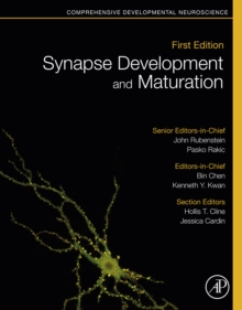 Image for Synapse Development and Maturation: Comprehensive Developmental Neuroscience