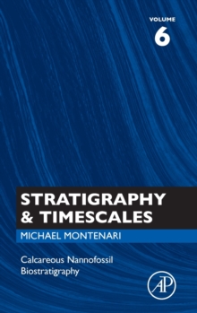 Image for Stratigraphy & timescalesVolume 6