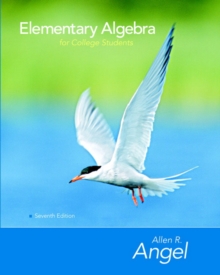 Image for Elementary Algebra for College Students