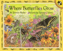 Image for Where Butterflies Grow