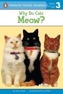 Image for Why Do Cats Meow?