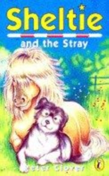 Image for Sheltie And the Stray