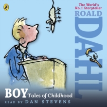 Image for Boy  : tales of childhood