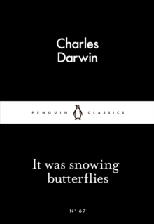Image for It was snowing butterflies