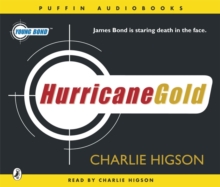 Image for Hurricane gold