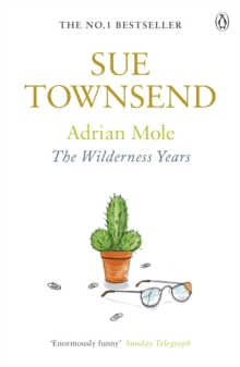 Image for Adrian Mole: the wilderness years