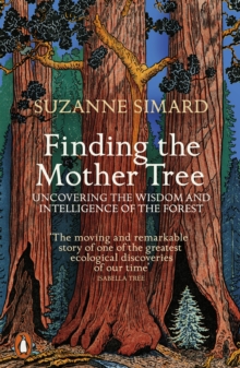 Image for Finding the mother tree  : uncovering the wisdom and intelligence of the forest