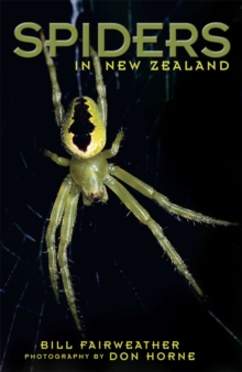 Image for Spiders in New Zealand