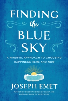 Image for Finding the Blue Sky
