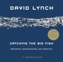 Image for Catching the Big Fish